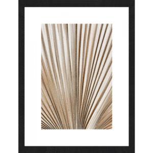 Dried Palm Fronds